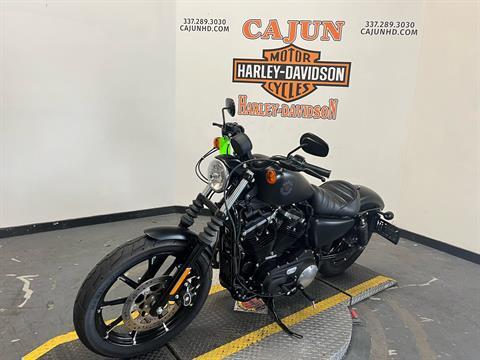 2022 Harley-Davidson Iron 883™ in Scott, Louisiana - Photo 6