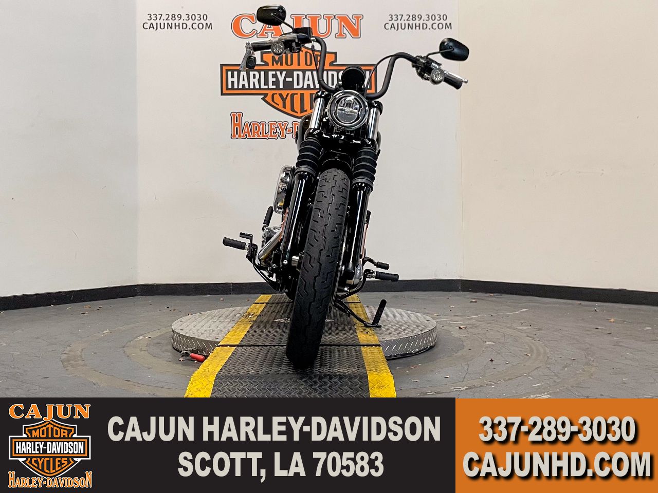 Vivid Black - Photo 3