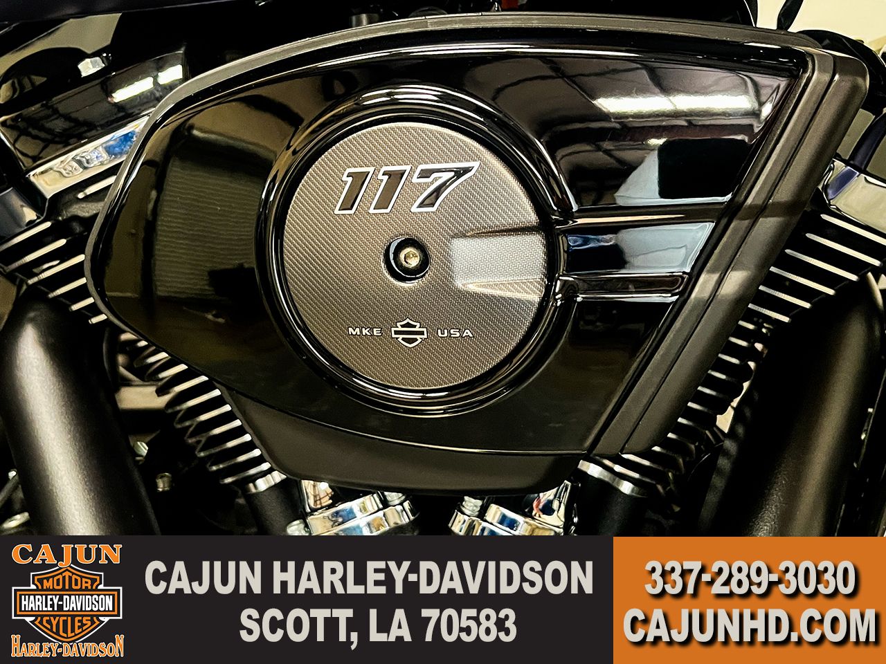117 M8 Motor - Photo 9