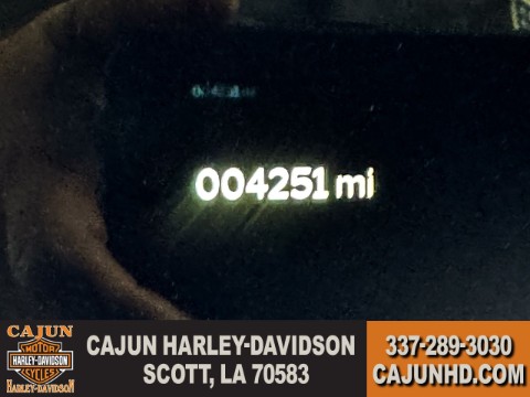 2025 Harley-Davidson Street Glide® in Scott, Louisiana - Photo 12