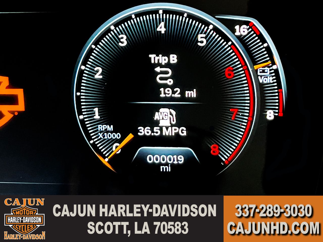 Low Miles - Photo 11