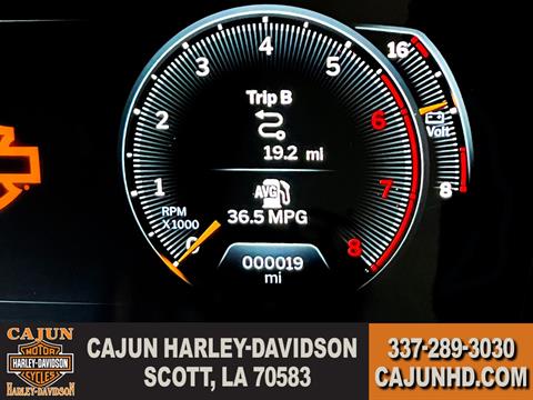 Low Miles - Photo 11