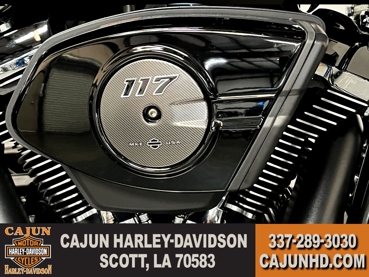 117 M8 Motor - Photo 10