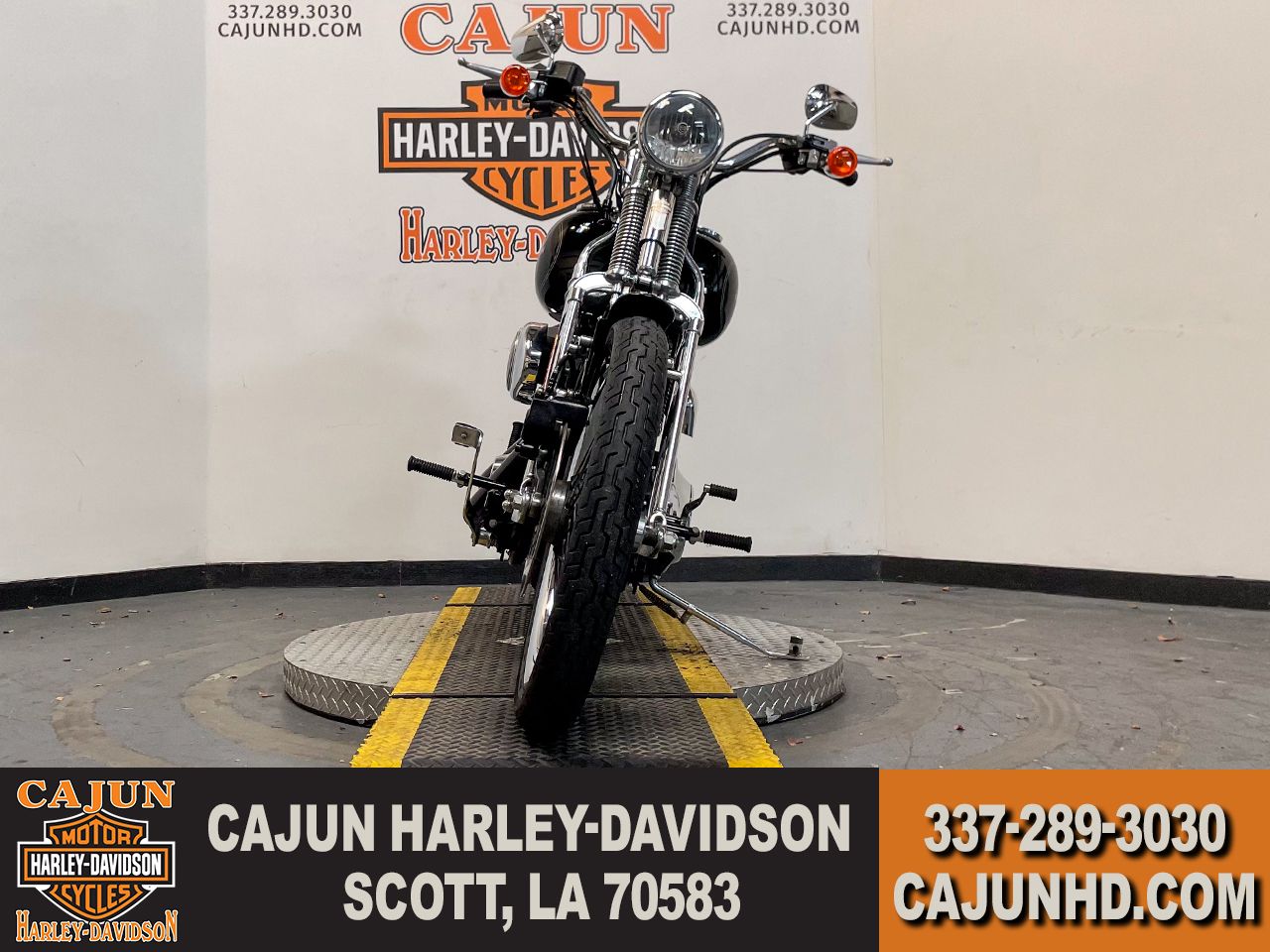 vivid black - Photo 3