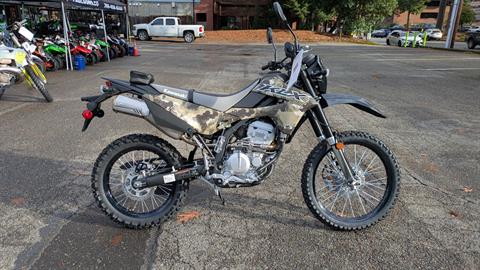 For Sale: Inventory at Paulson's Motorsports, Lacey WA