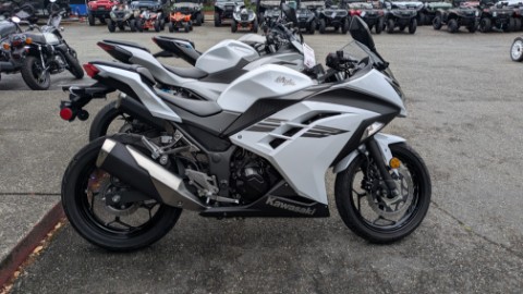 2017 Kawasaki Ninja 300 ABS