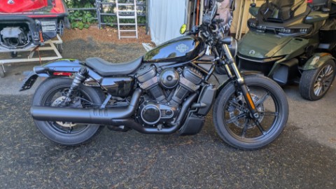 2026 Harley-Davidson Nightster