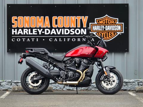2025 Harley-Davidson Pan America® 1250 ST in Cotati, California - Photo 1