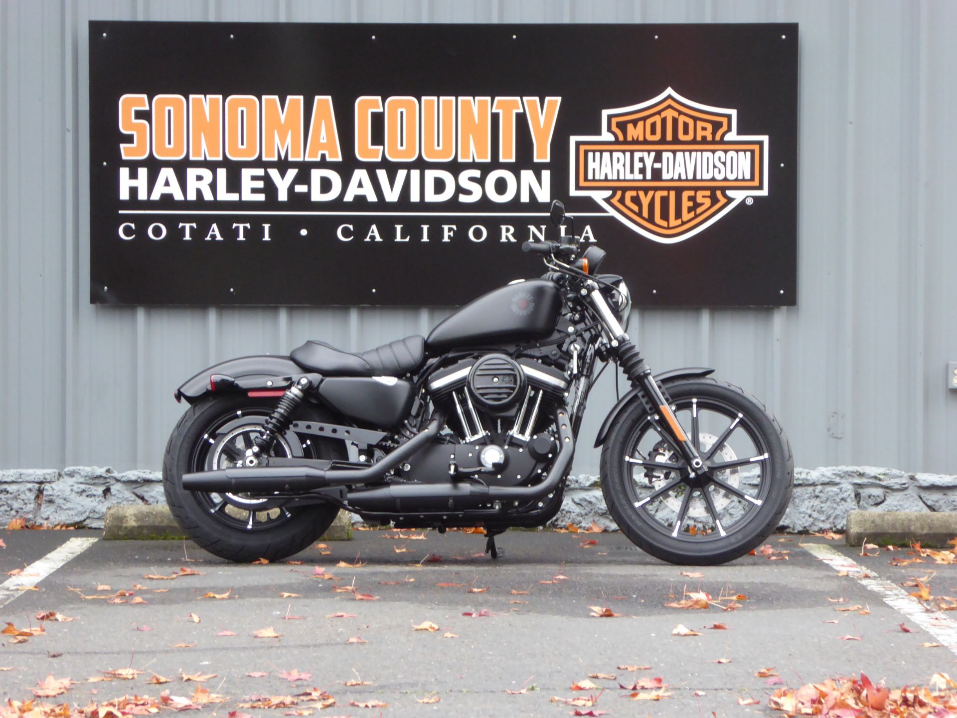2022 Harley-Davidson Iron 883™ in Cotati, California - Photo 1