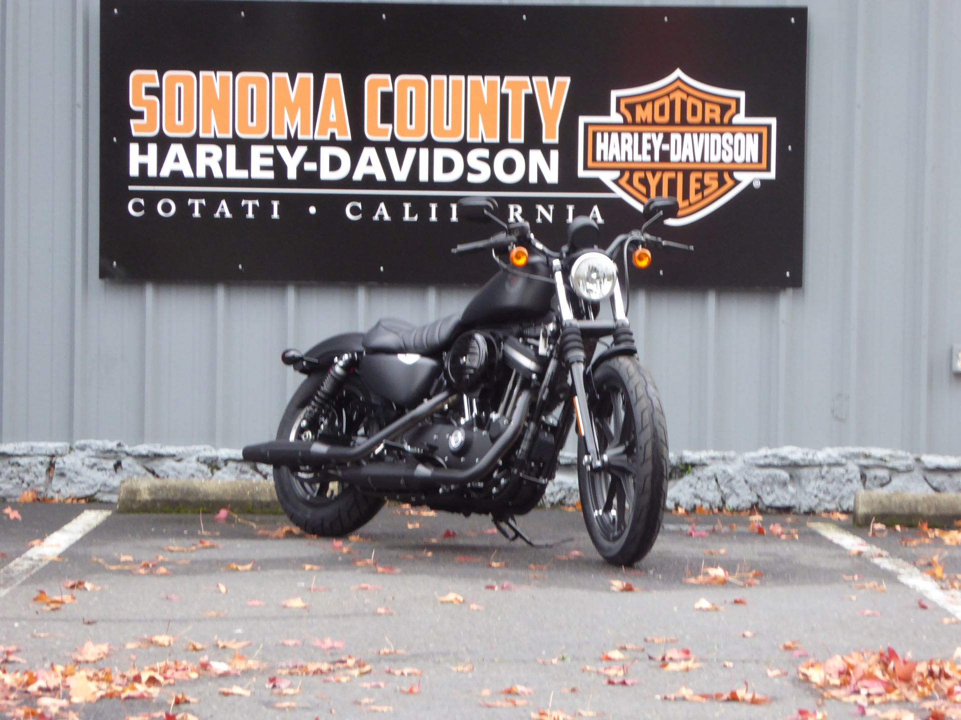 2022 Harley-Davidson Iron 883™ in Cotati, California - Photo 2