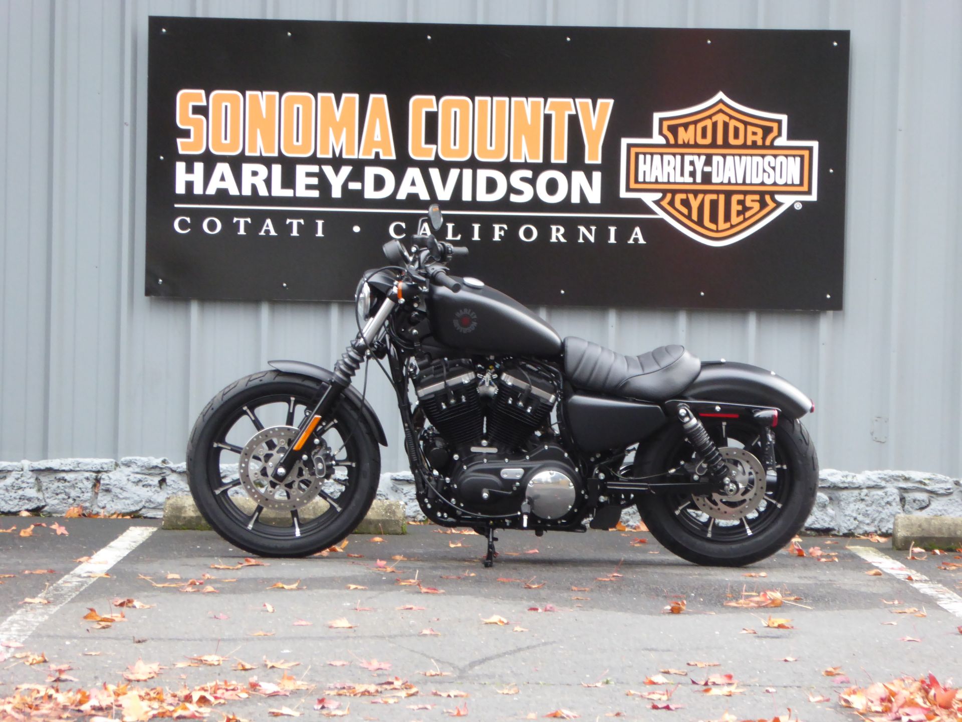 2022 Harley-Davidson Iron 883™ in Cotati, California - Photo 3
