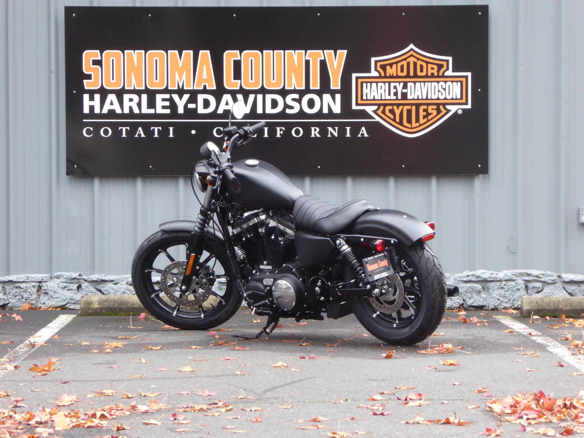 2022 Harley-Davidson Iron 883™ in Cotati, California - Photo 4