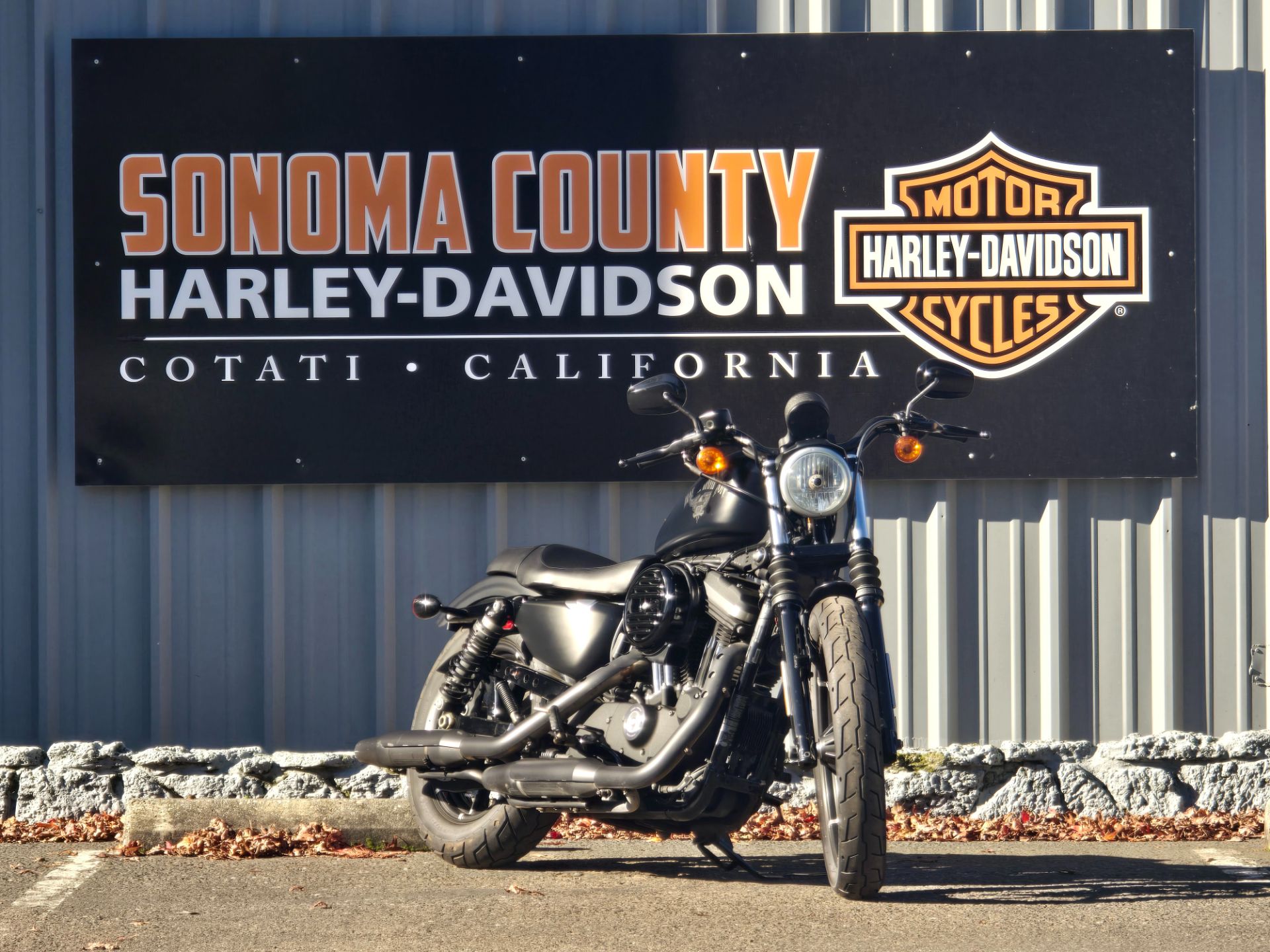 2016 Harley-Davidson Iron 883™ in Cotati, California - Photo 2