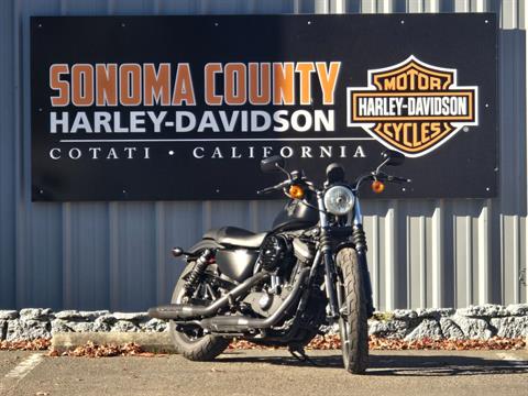 2016 Harley-Davidson Iron 883™ in Cotati, California - Photo 2