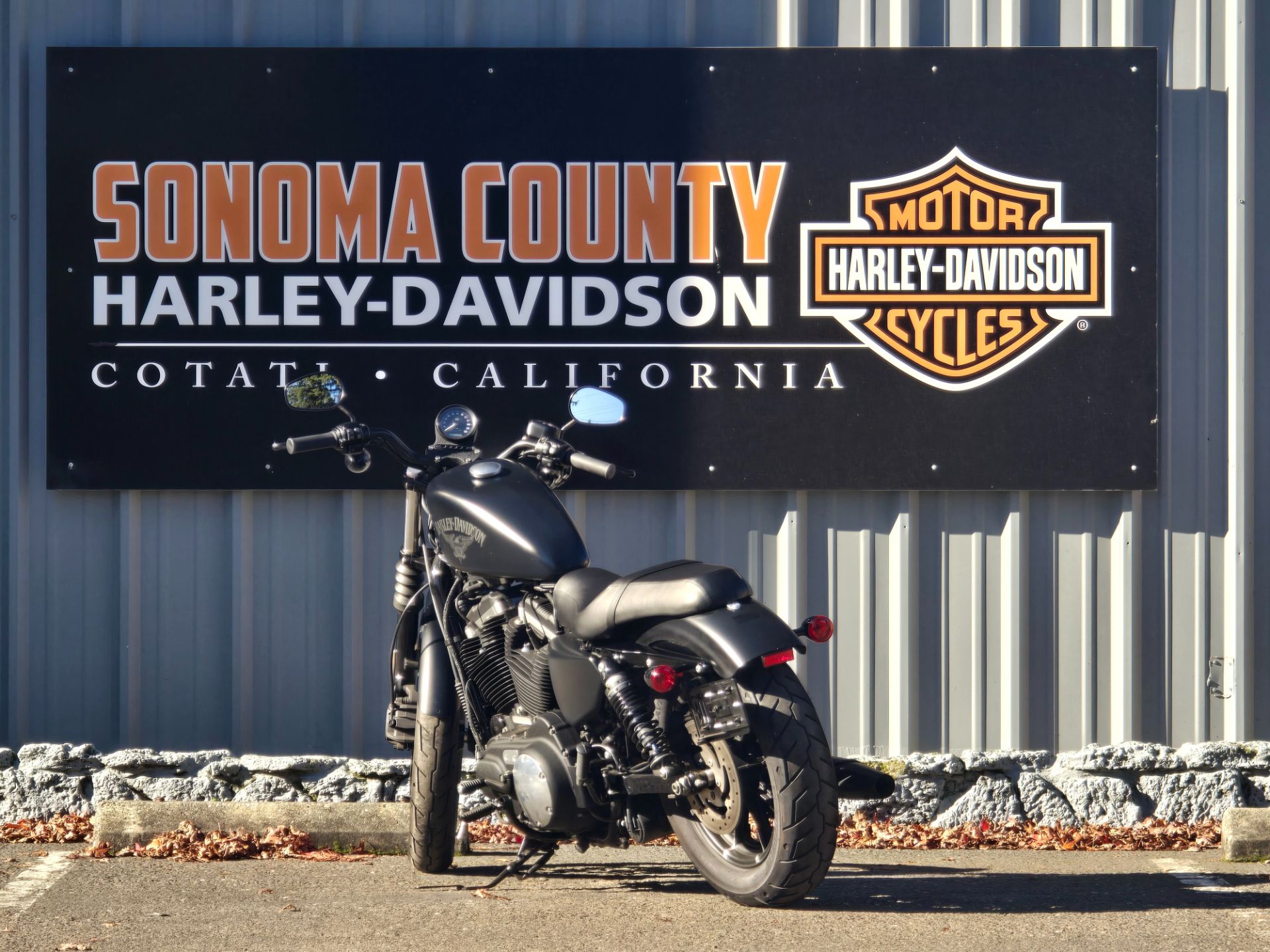 2016 Harley-Davidson Iron 883™ in Cotati, California - Photo 4