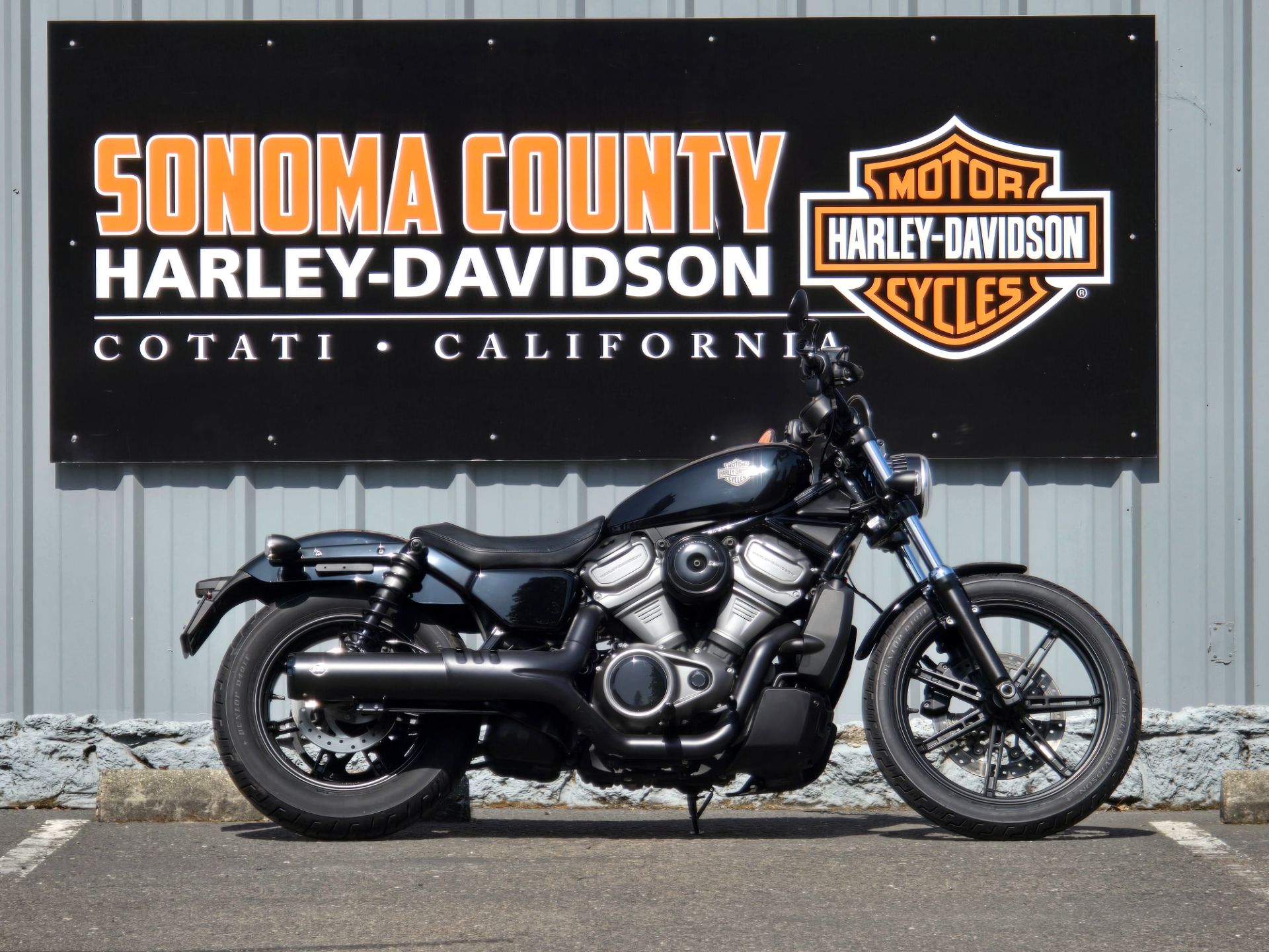 2023 Harley-Davidson Nightster® in Cotati, California - Photo 1