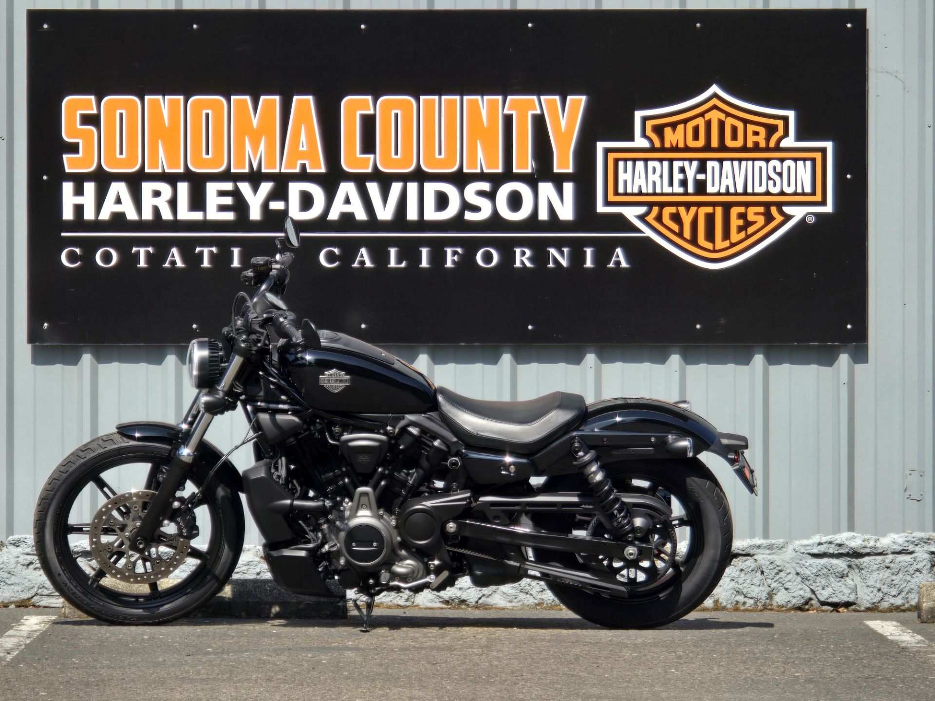 2023 Harley-Davidson Nightster® in Cotati, California - Photo 3