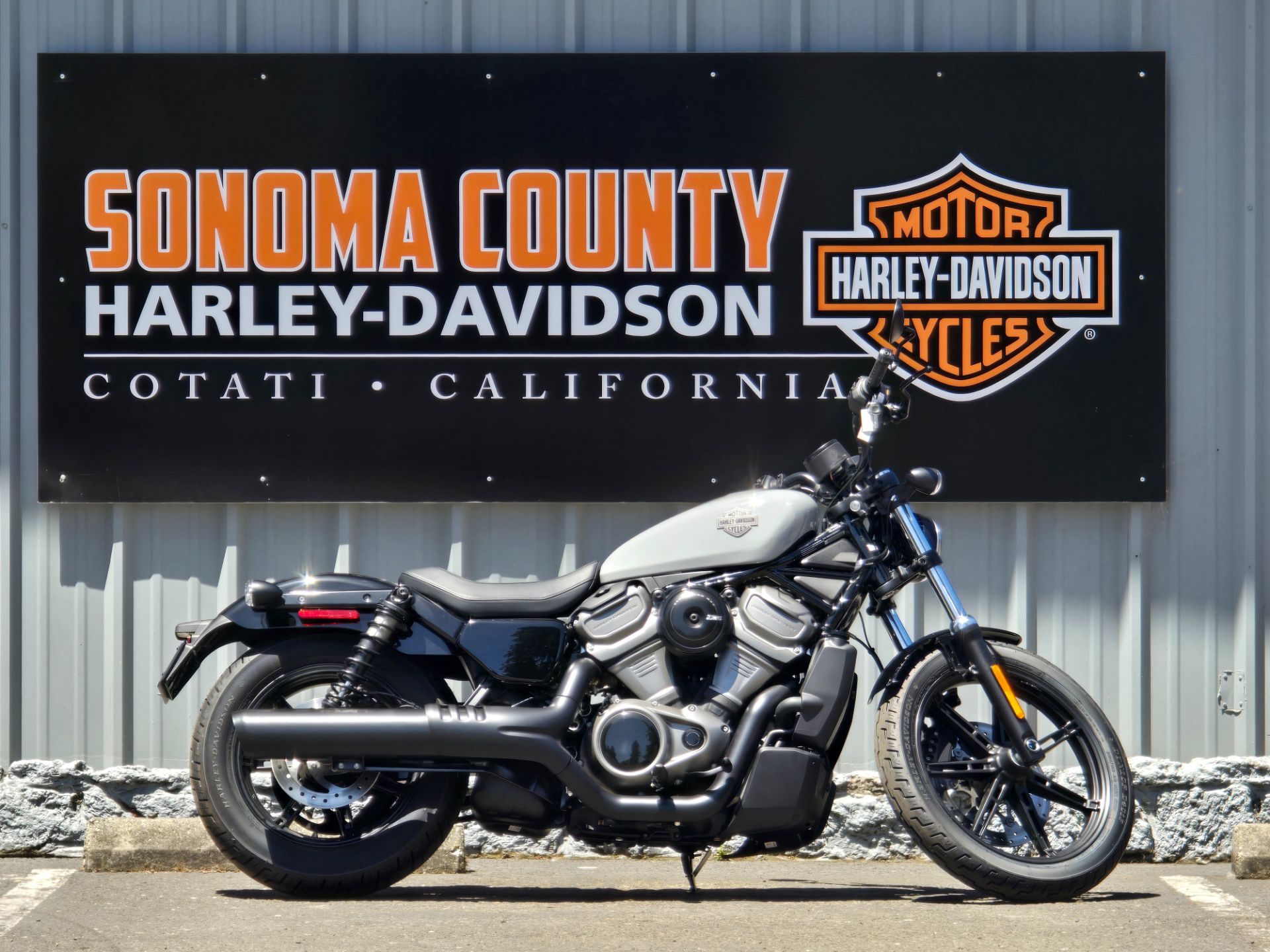 2025 Harley-Davidson Nightster® in Cotati, California - Photo 1