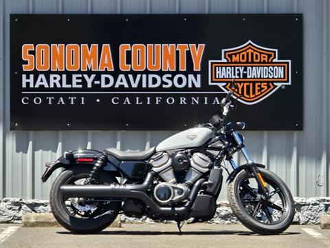 2025 Harley-Davidson Nightster® in Cotati, California - Photo 1