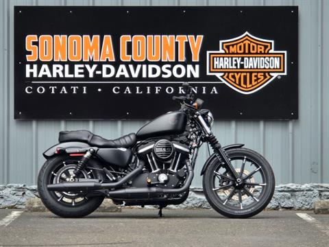 2021 Harley-Davidson Iron 883™ in Cotati, California - Photo 1