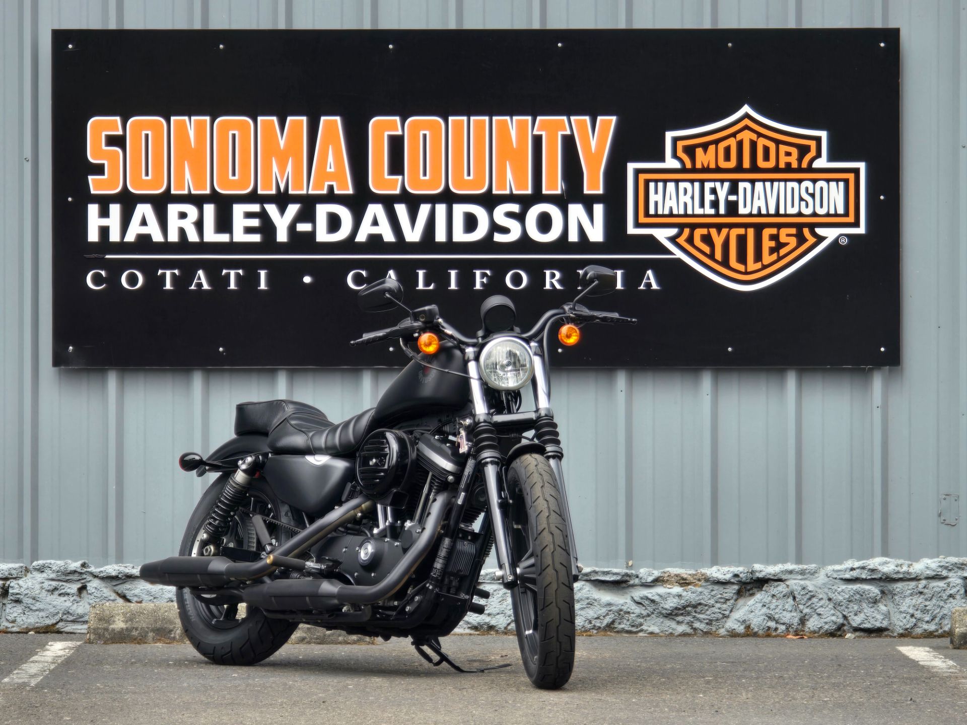 2021 Harley-Davidson Iron 883™ in Cotati, California - Photo 2