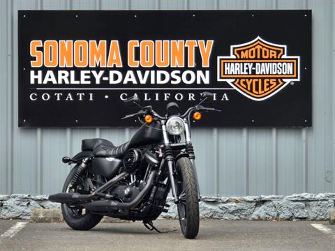 2021 Harley-Davidson Iron 883™ in Cotati, California - Photo 2