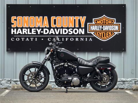 2021 Harley-Davidson Iron 883™ in Cotati, California - Photo 3