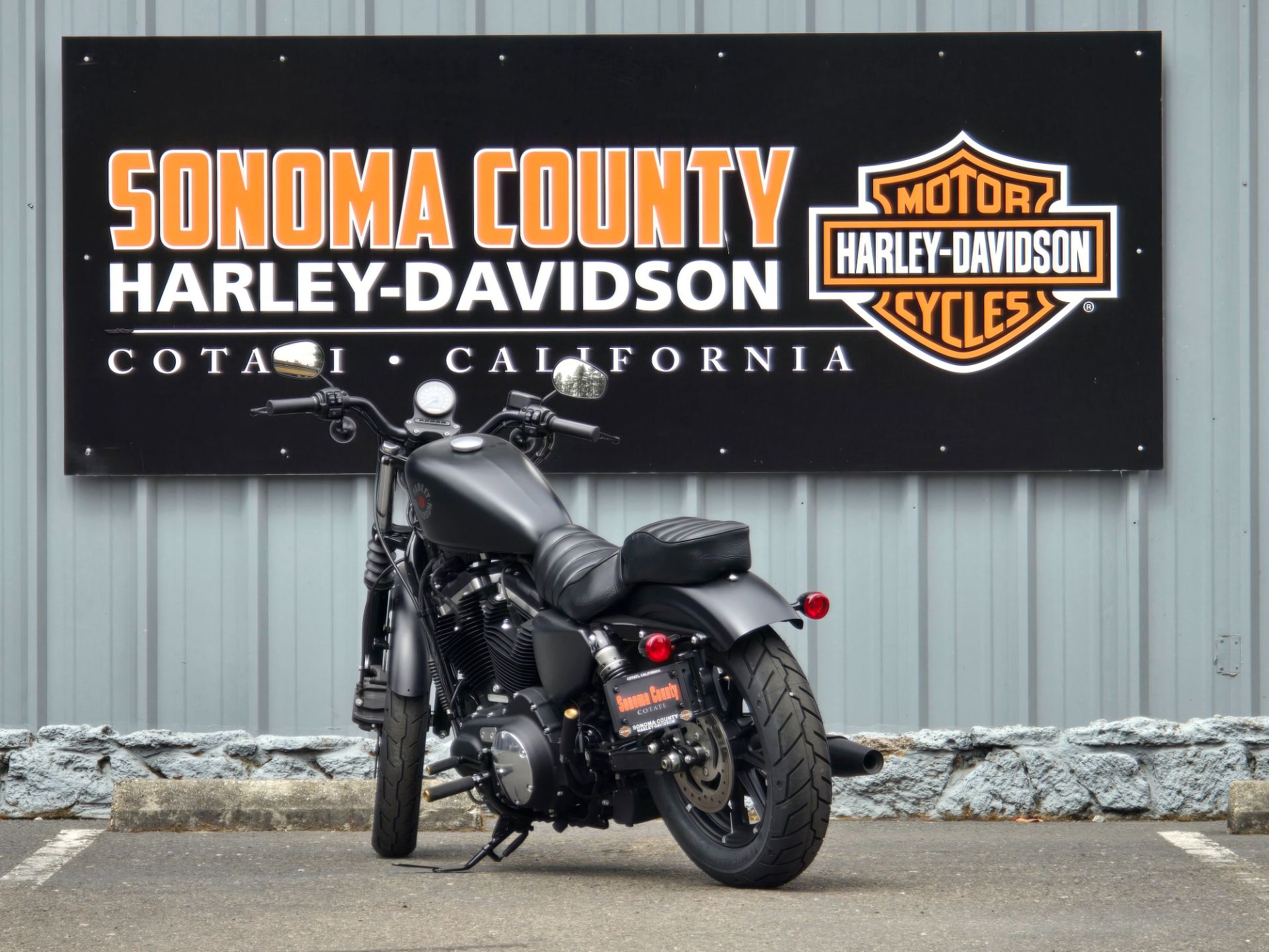 2021 Harley-Davidson Iron 883™ in Cotati, California - Photo 4