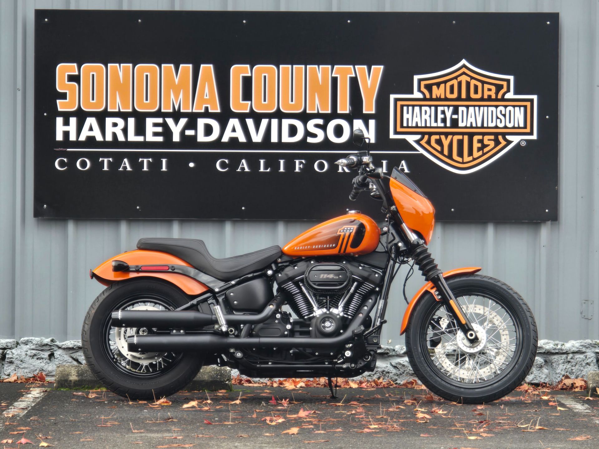 2021 Harley-Davidson Street Bob® 114 in Cotati, California - Photo 1