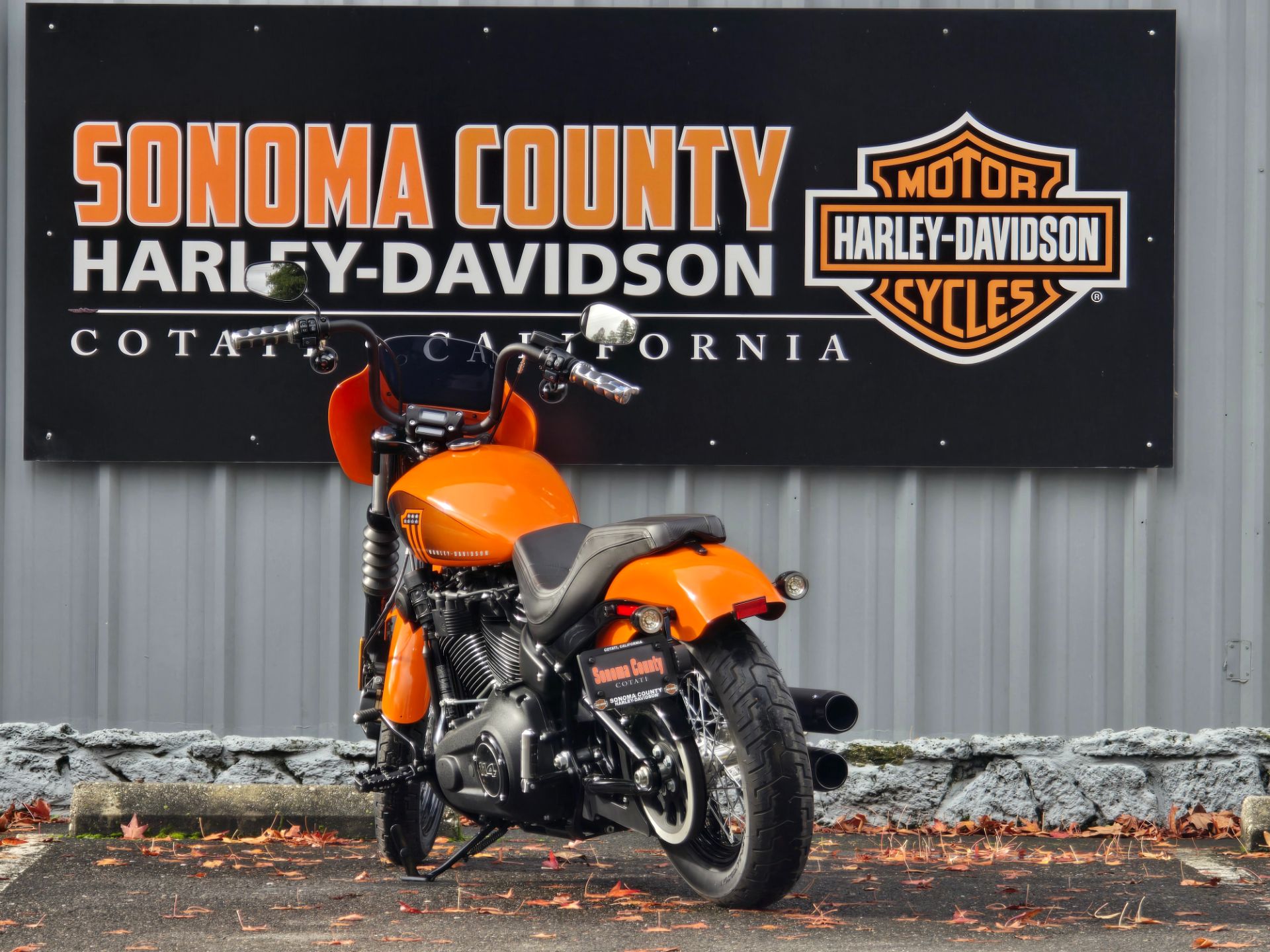 2021 Harley-Davidson Street Bob® 114 in Cotati, California - Photo 4