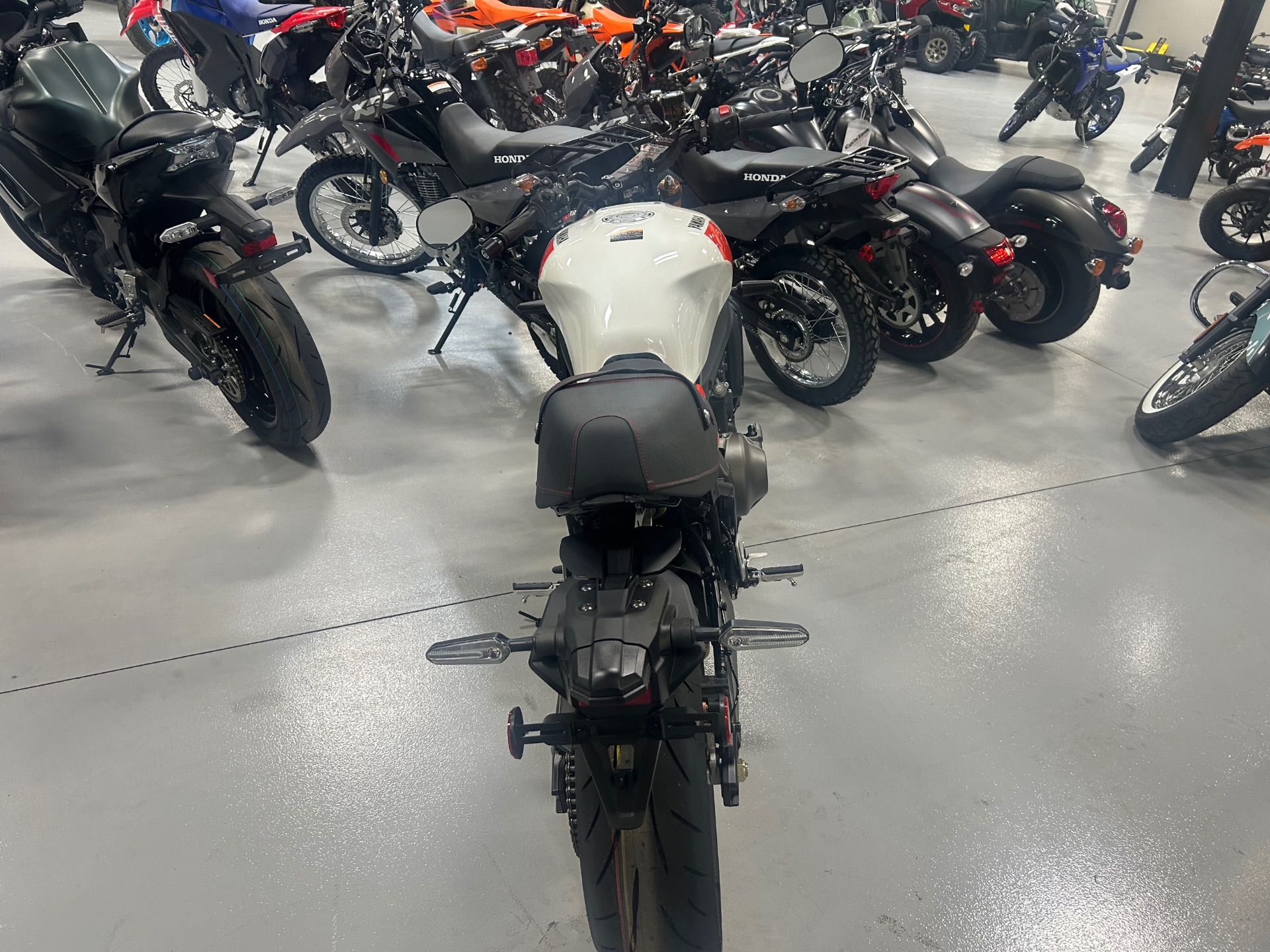 2025 Yamaha XSR900 in Topeka, Kansas - Photo 3