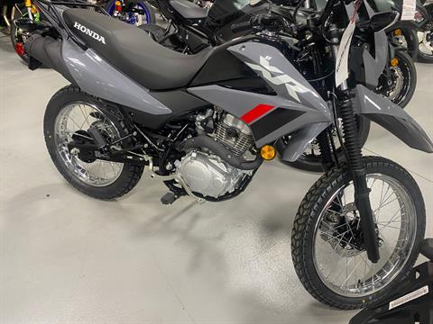 2025 Honda XR150L in Topeka, Kansas - Photo 1