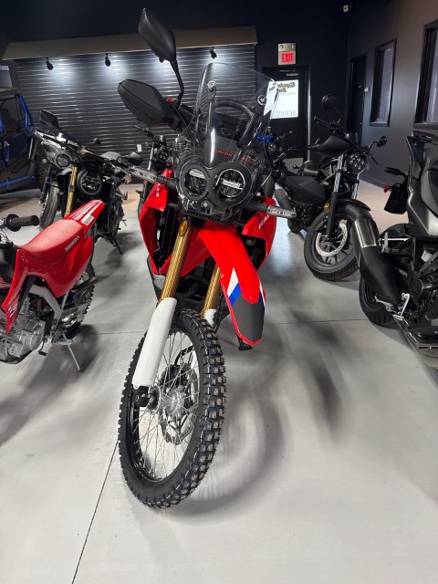 2025 Honda CRF300L Rally ABS in Topeka, Kansas - Photo 2