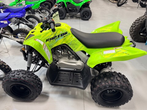 2026 Yamaha Raptor 110 in Topeka, Kansas - Photo 1