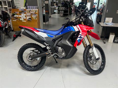 2025 Honda CRF300L Rally ABS in Topeka, Kansas - Photo 2