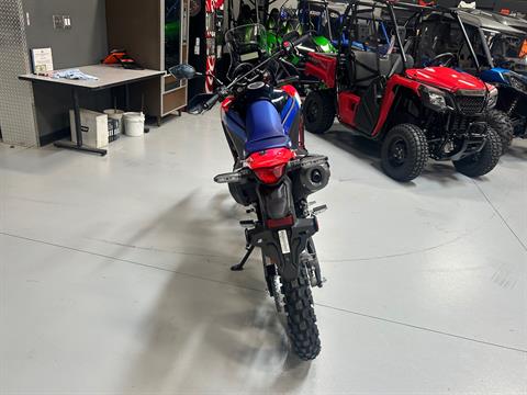 2025 Honda CRF300L Rally ABS in Topeka, Kansas - Photo 4