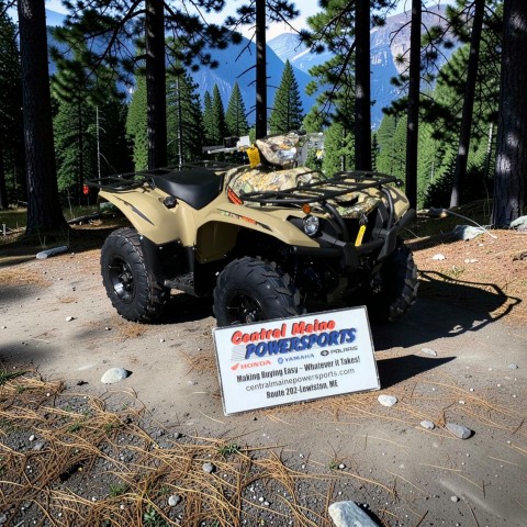 2026 Yamaha Kodiak 700 EPS — photo 1 of 16