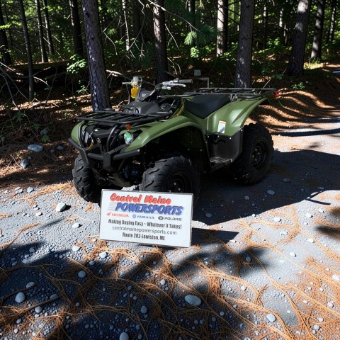 2026 Yamaha Kodiak 700