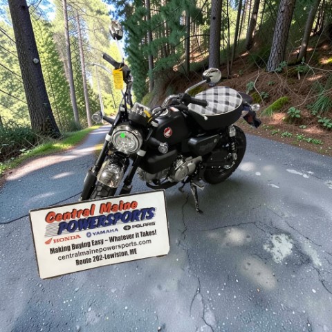 2026 Honda Monkey ABS — photo 1 of 18