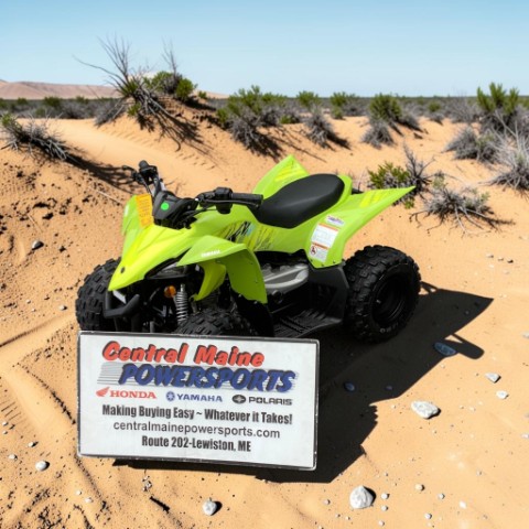 2026 Yamaha YFZ50