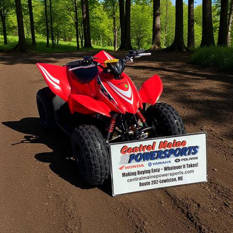 2025 Honda TRX90X — photo 1 of 18