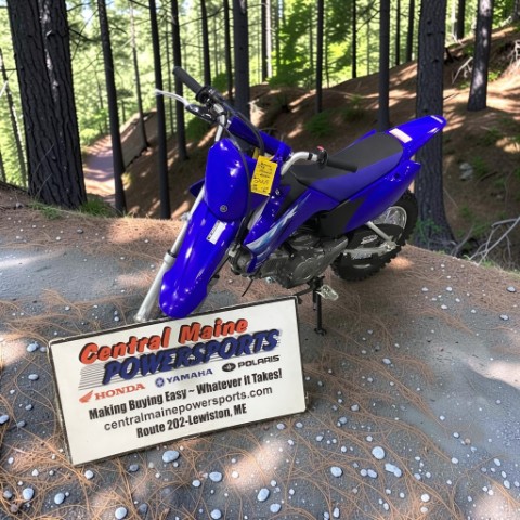 2027 Yamaha TT-R110E