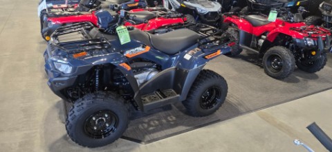 2026 Kawasaki Brute Force 300