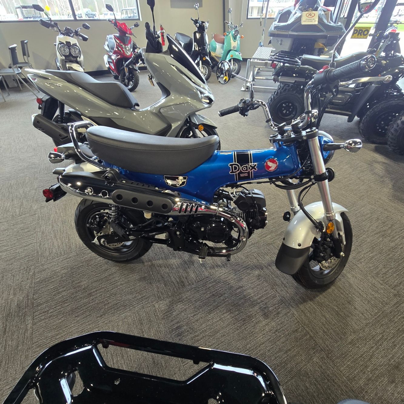 2025 Dax 125