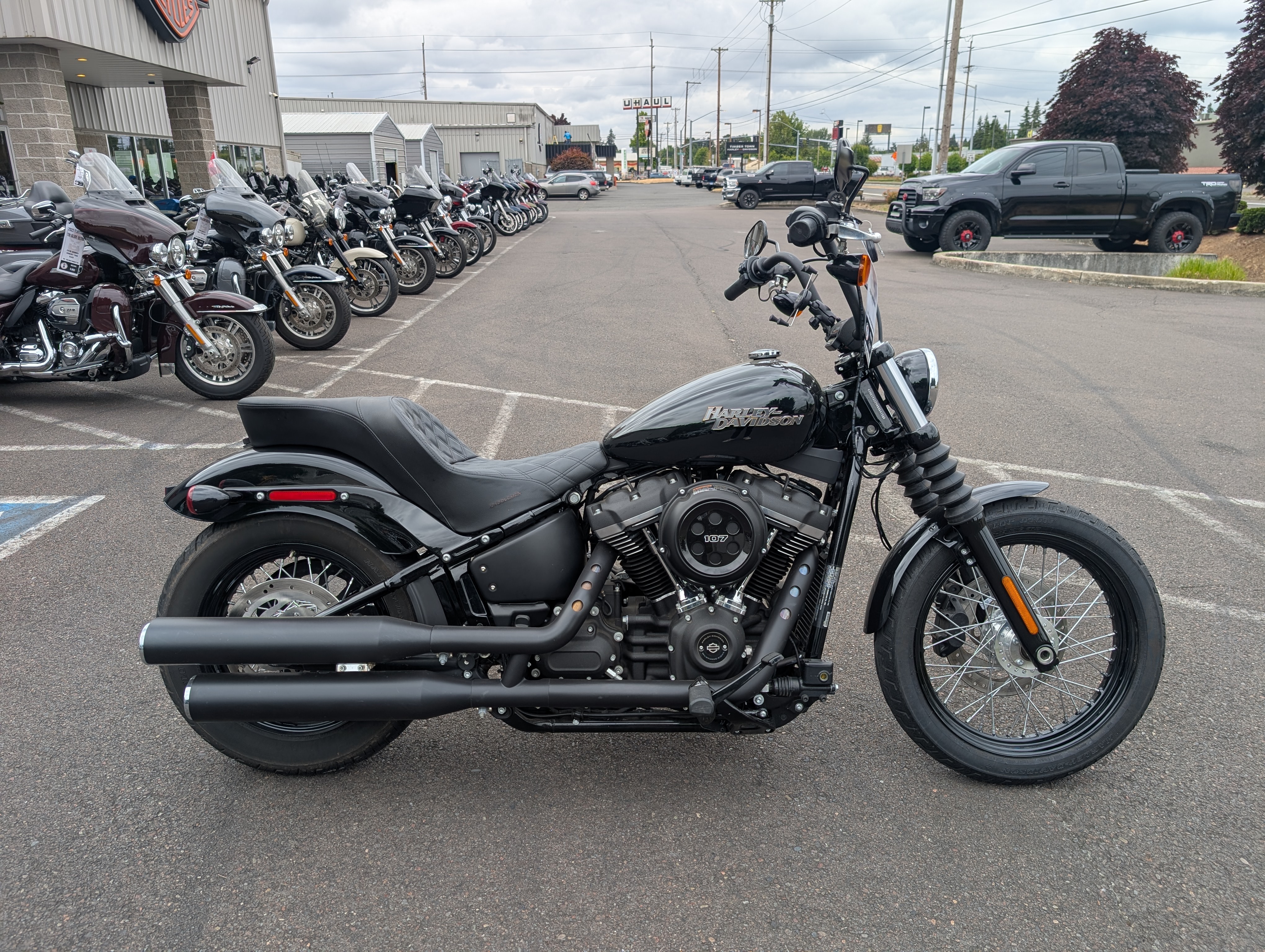 2019 Street Bob®