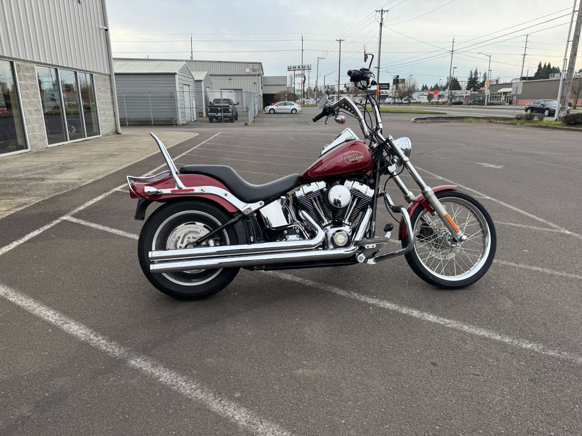 2009 Softail® Custom