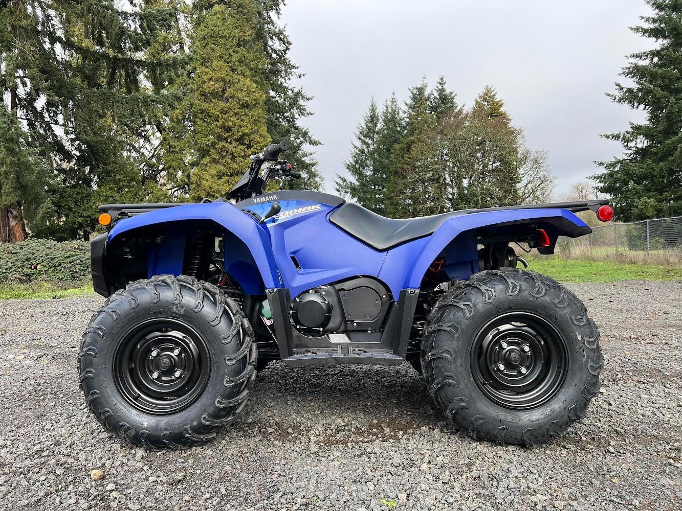 2025 Yamaha Kodiak 450 in Eugene, Oregon - Photo 2