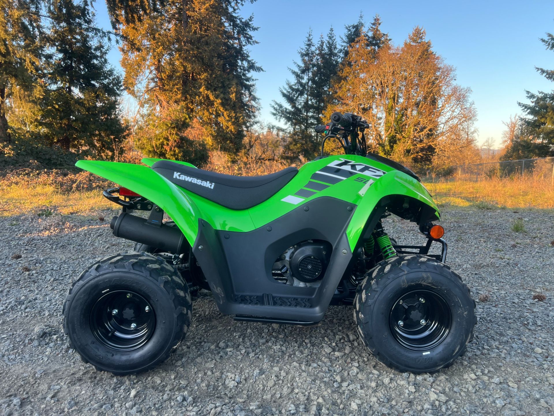 2025 Kawasaki KFX 50 in Eugene, Oregon - Photo 1