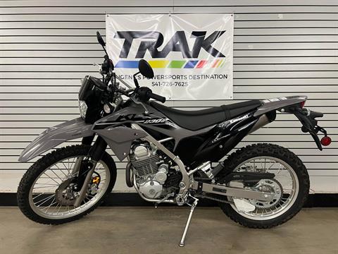 2023 Kawasaki KLX 230 S ABS in Eugene, Oregon - Photo 2