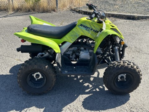 2026 Yamaha Raptor 110 — photo 1 of 15